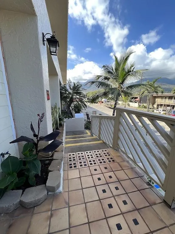 Unit 19 Maui Ohana Modern Studio Wailuku United States